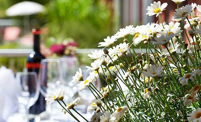 Sommer im Hotel Eden