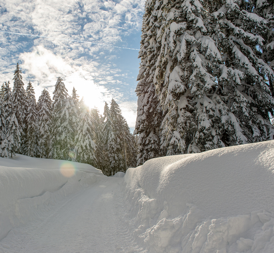 Winterweitwandern im Das Hotel Eden in Seefeld