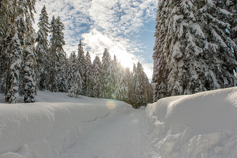 Winterweitwandern im Das Hotel Eden in Seefeld