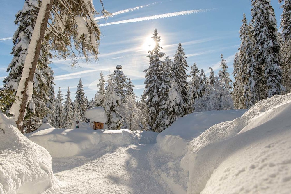 Das Hotel Eden Seefeld