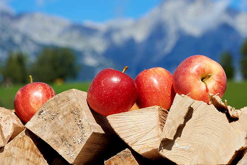 apples and the view of the tyrolean mountains in Seefeld